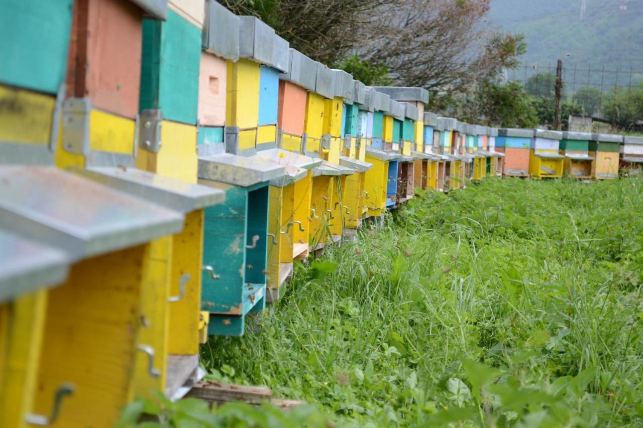 Agriturismo Dalla Natura La Salute Giustino Zewnętrze zdjęcie