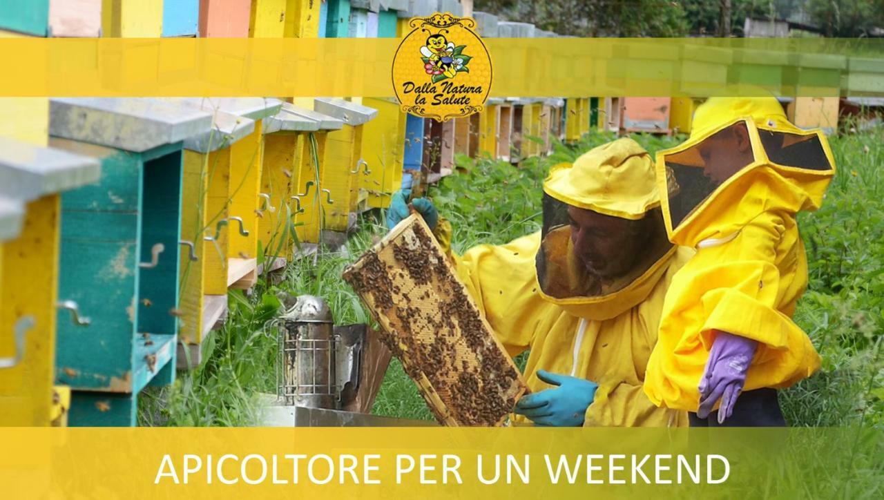 Agriturismo Dalla Natura La Salute Giustino Zewnętrze zdjęcie